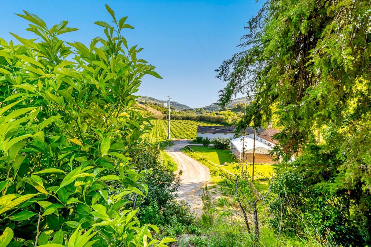 Quinta Do Boicao Villa Lisboa Exteriör bild