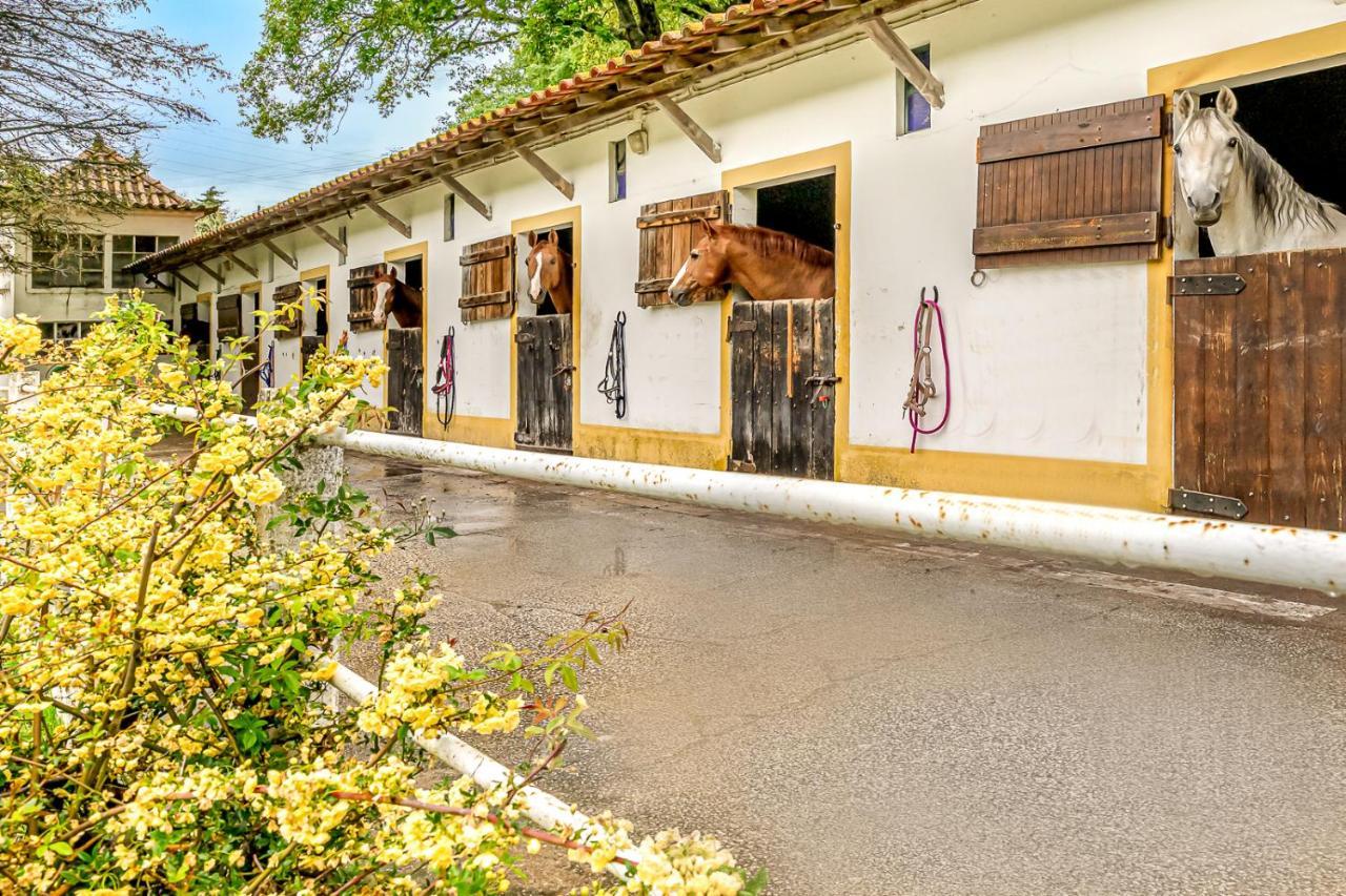 Quinta Do Boicao Villa Lisboa Exteriör bild